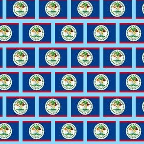 TINY Belize flag fabric -North American flag fabric - light blue