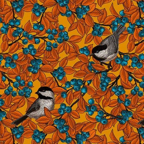 Chickadee birds on blueberry branches on orange, tiny size