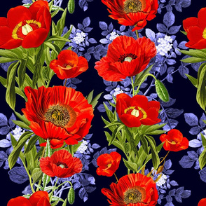 red poppies