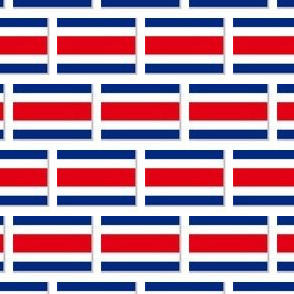 SMALL Costa Rica flag fabric - Costa Rican stripes -BLACK