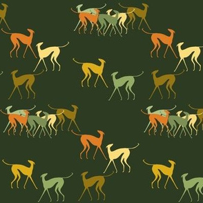 fleet footed greyhounds, green, yellow