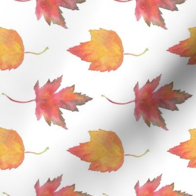 Watercolor Maple Leaves Sideways