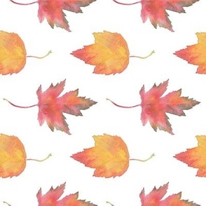 Watercolor Maple Leaves Sideways