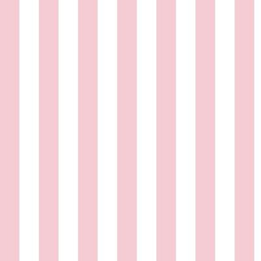 Pink Blush Awning Stripe Pattern Vertical in White