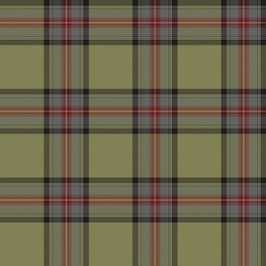 Stewart olive weathered tartan, 6"