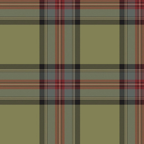 Stewart olive weathered tartan, 10"