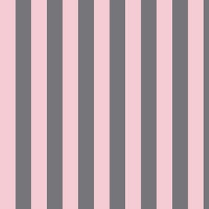 Pink Blush Awning Stripe Pattern Vertical in Mouse Grey