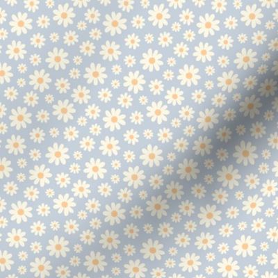 ( small ) daisy, florals, daisies, blue
