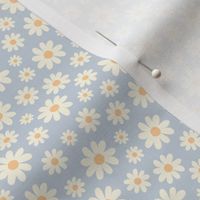 ( small ) daisy, florals, daisies, blue