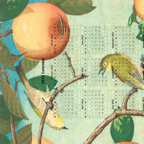 2021 Tea towel  Calendar - Birds