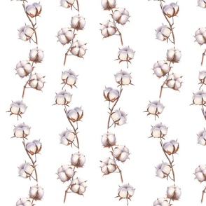 Cotton flowers