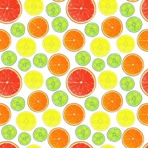 Citrus fruits slices 