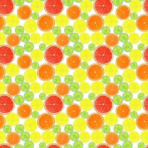 Citrus fruits slices 