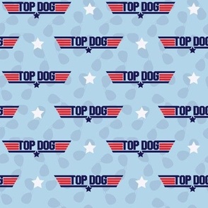 (M Scale) Top Dog Seamless Pattern with Aviators and White Stars