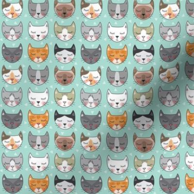 tiny kitty cat faces on teal