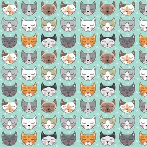 tiny kitty cat faces on teal