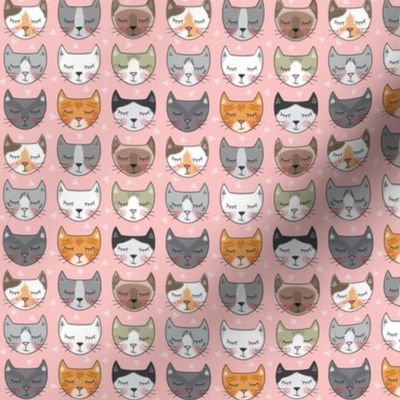 tiny kitty cat faces on pink