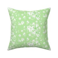 Emalyn key lime 2 petite