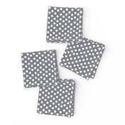 Pretty Polka Dots in Pewter