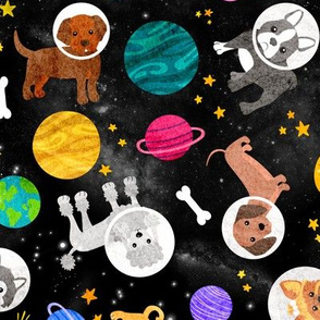 Puppies In Space