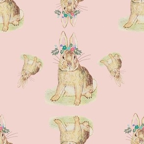  Rabbit  wearing a  Flower Crown on Pink Background
