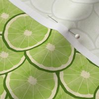 Lime slices in watercolour