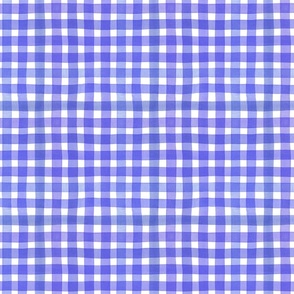 cottagecore violet and blue rustic gingham S