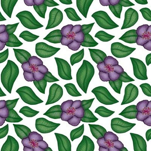 Purple flowers 