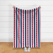 USA Flag Colors of Red, White and Blue with Stars in Alternating 2 Inch Vertical Stripes