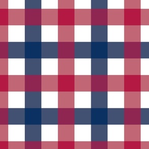USA Red, White and Blue Jumbo 2 Inch Gingham Check
