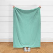 Solid Color, Sea Green Craiola