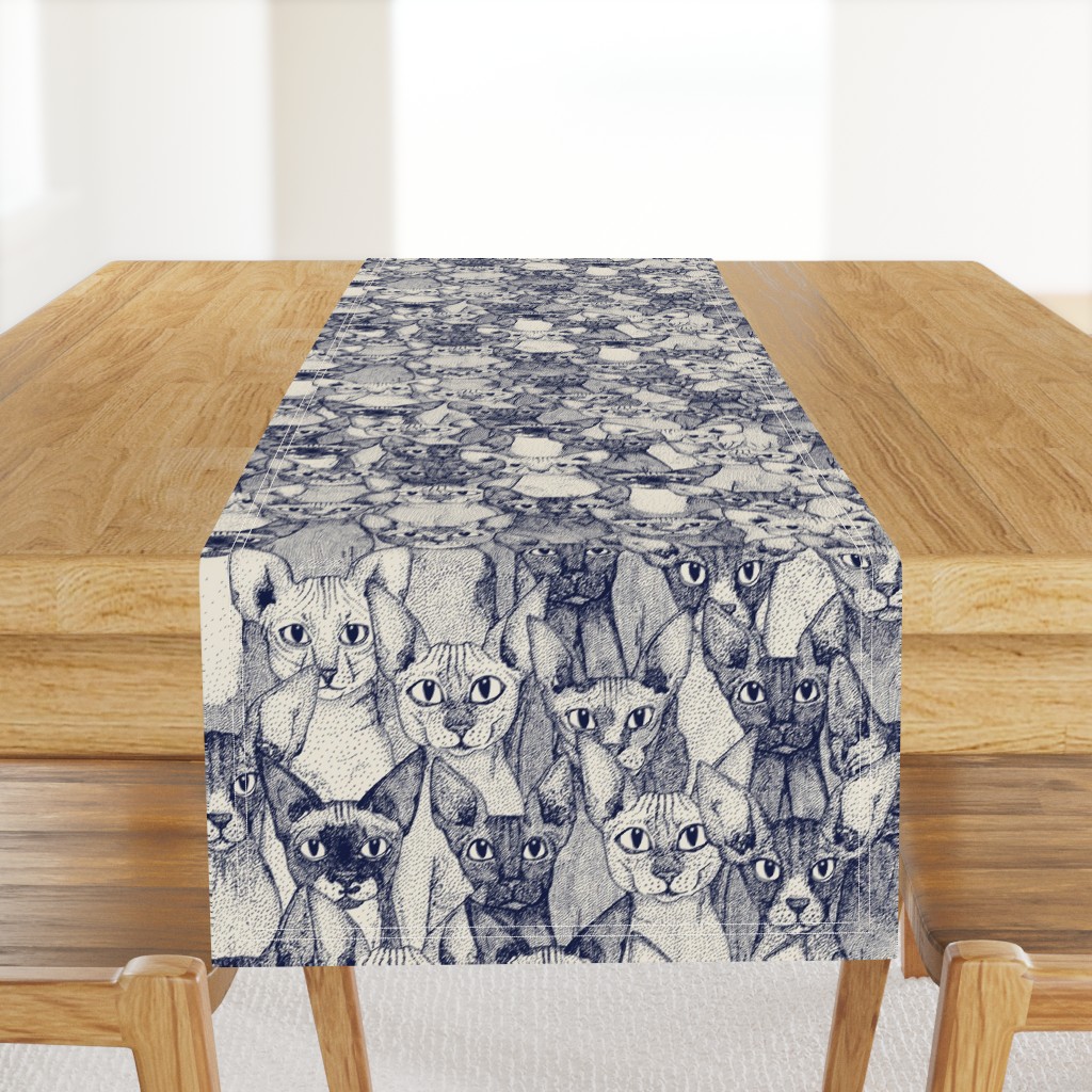 just sphynx cats blue off white