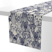 just sphynx cats blue off white