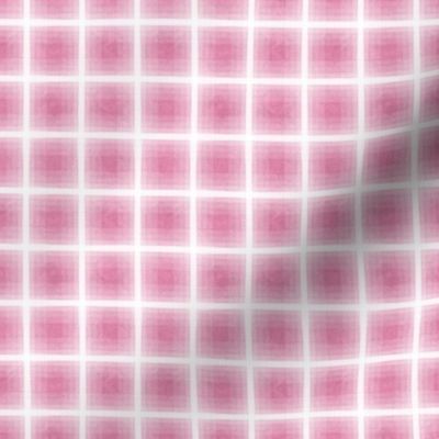 Gradient Plaid Bubblegum Texture