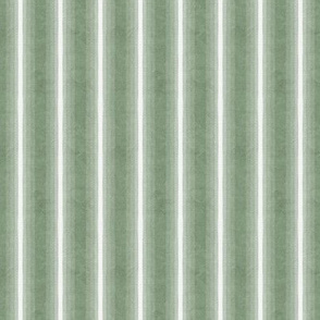 Gradient Vertical Stripe Sage Texture