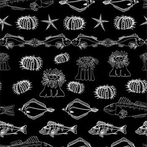 Continuous line fish and invertebrates on black