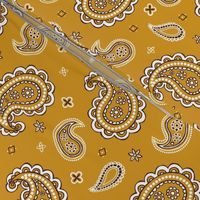 Western paisley mustard