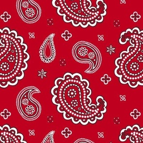 Western paisley red