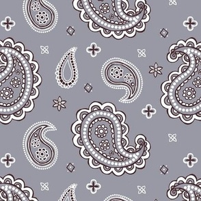 Western paisley gray