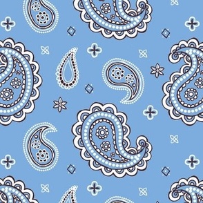 Western paisley blue