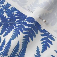 Blue fern on white background S