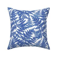 Blue fern on white background S