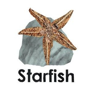 starfish - 6" panel