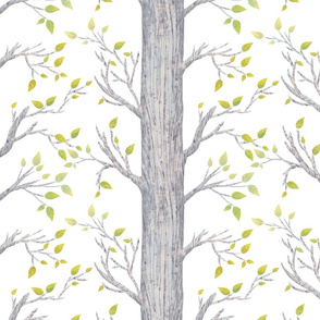 Forest Trees Large Scale White Background Nursery, Kids Room, Babies