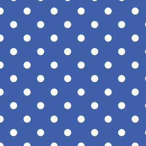Blue With White Polka Dots - Large (Rainbow Collection)