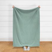 Linen Textured Solid - Mint Green