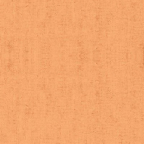 Linen Textured Solid - Peach