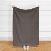 Linen Textured Solid - Taupe