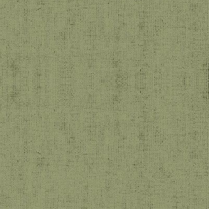 Linen Textured Solid - Sage Green
