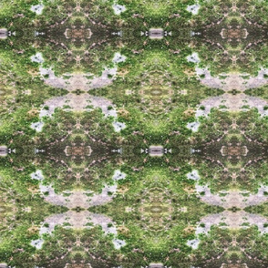 Moss Kaleidoscope Print